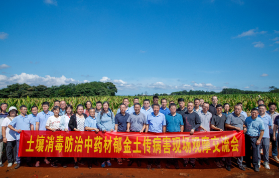 中国农科院专家在临高展示郁金土传病害防治技术